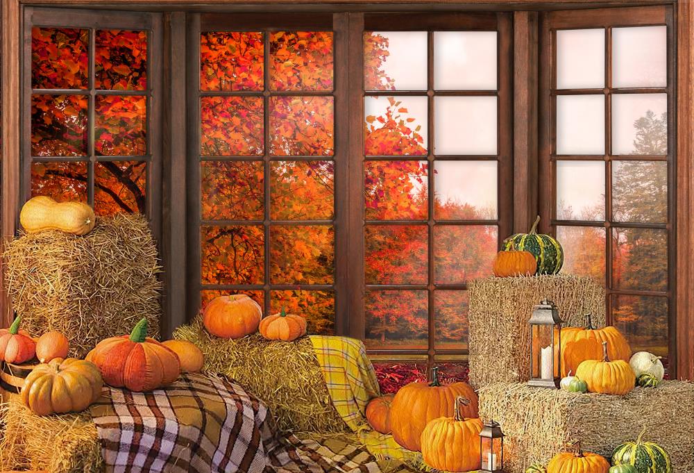 Fox Roll Autumn Photography Window Vinyl Backdrops