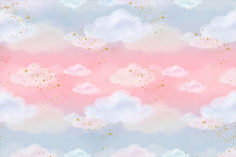 Fox Gradient Clouds Pink Children Photography Vinyl Backdrop – Foxbackdrop