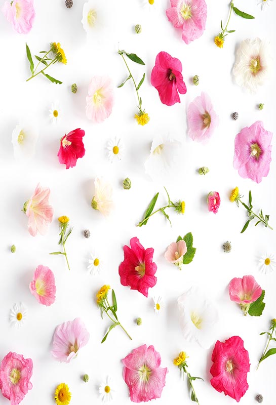 Fox Rolled Milk White Flowers Vinyl Photos Backdrop - Foxbackdrop