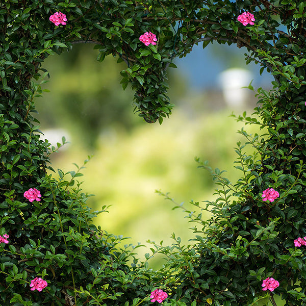 Fox Green Leaves Heart Shape Vinyl Cloth Backdrop - Foxbackdrop