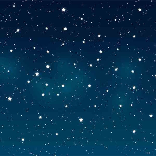 Fox Night Sky Stars Rolled Children Vinyl Backdrop - Foxbackdrop