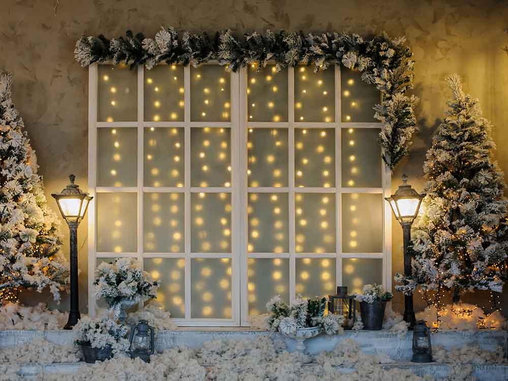 Fox Rolled Winter Snow Lights Window Christmas Vinyl Backdrop - Foxbackdrop