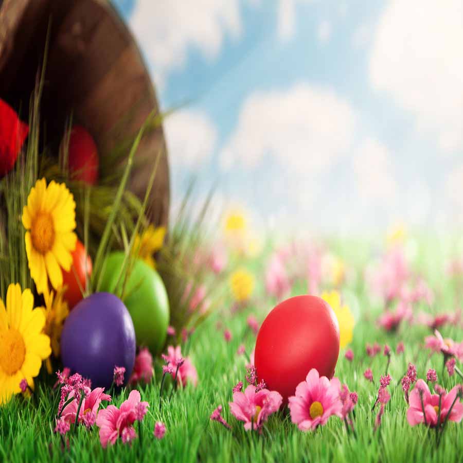 Fox Rolled Eggs Grass Vinyl Easter Photo Backdrops - Foxbackdrop