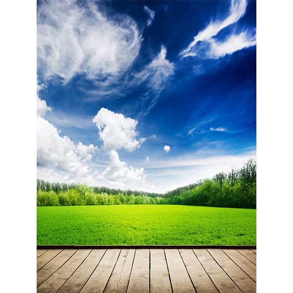 Fox Rolled Spring Grassland Vinyl Photo Backdrops - Foxbackdrop